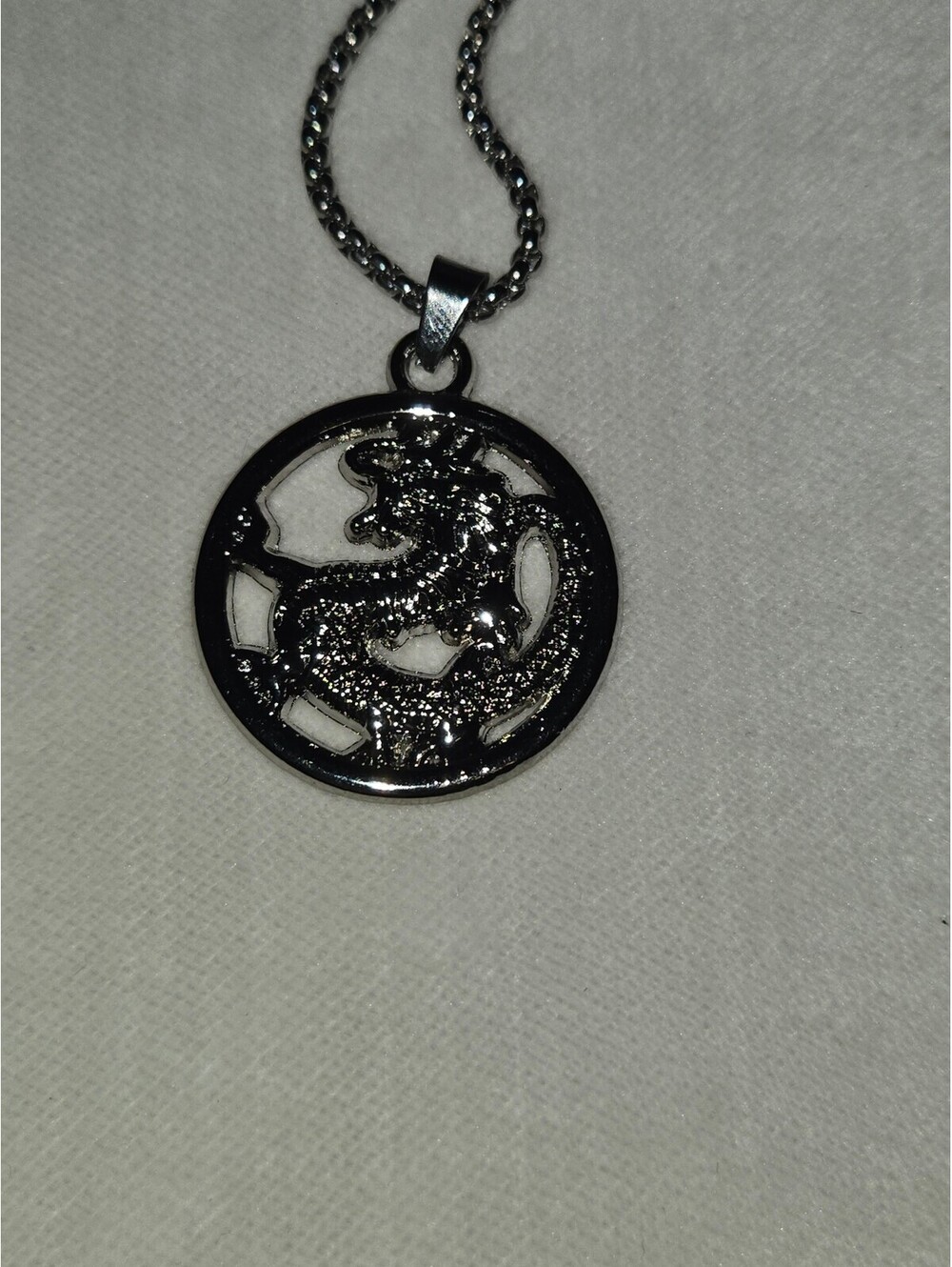 Silver Dragon Pendant Necklace with Hypoallergenic 22in Stainless Steel Chain